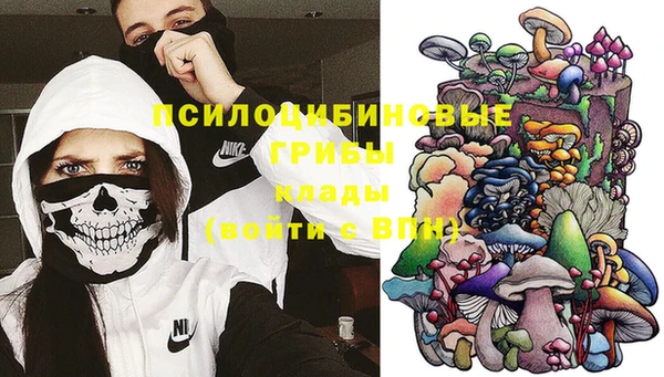 ECSTASY Алексеевка