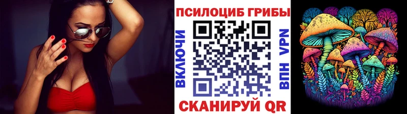 Псилоцибиновые грибы Cubensis  продажа наркотиков  MEGA ТОР  Константиновск 