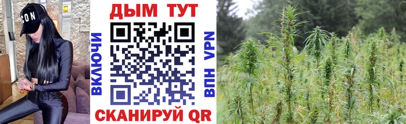 где найти   Константиновск  мега tor  МАРИХУАНА тримм 